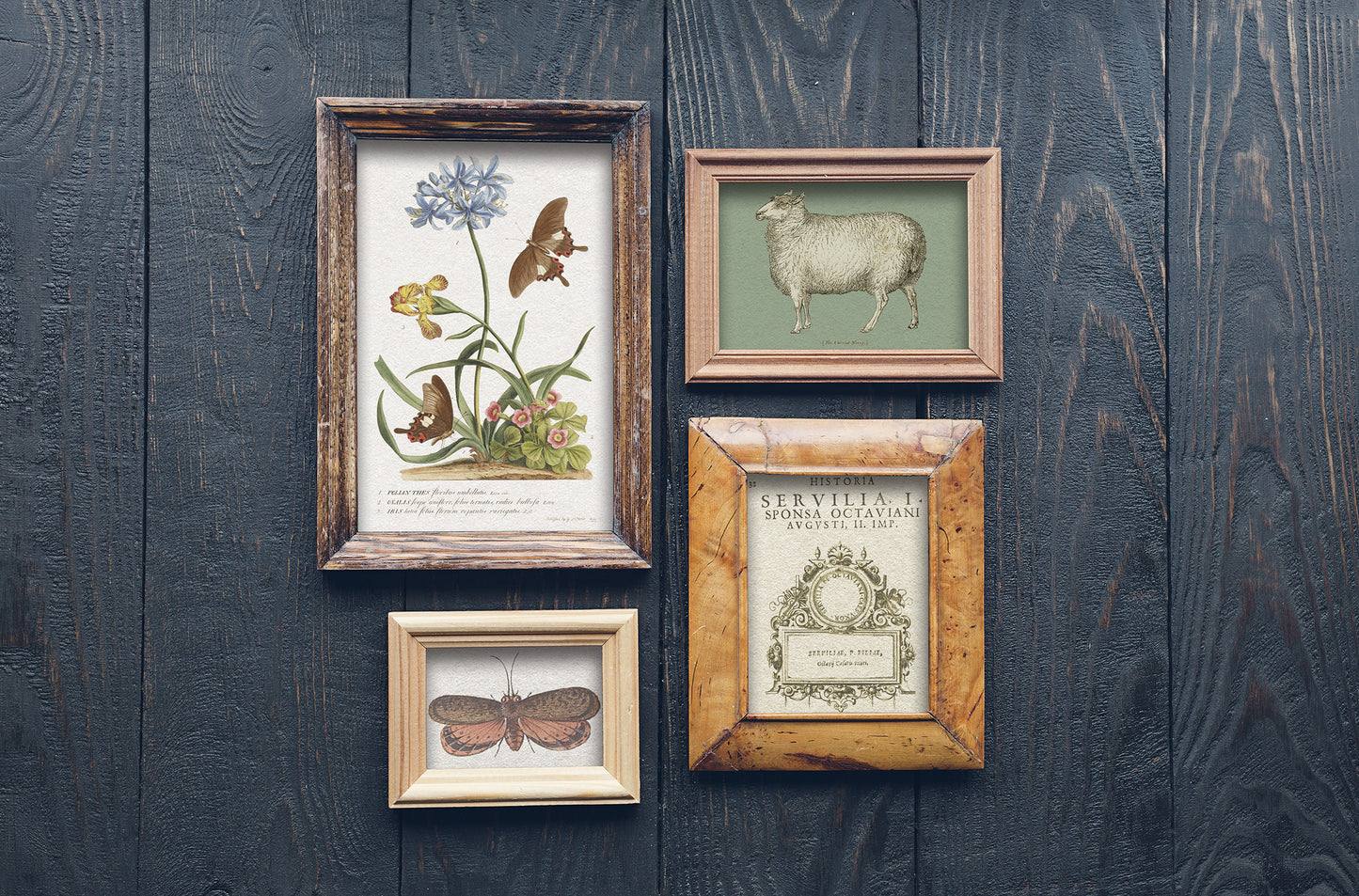Brocante Transfer