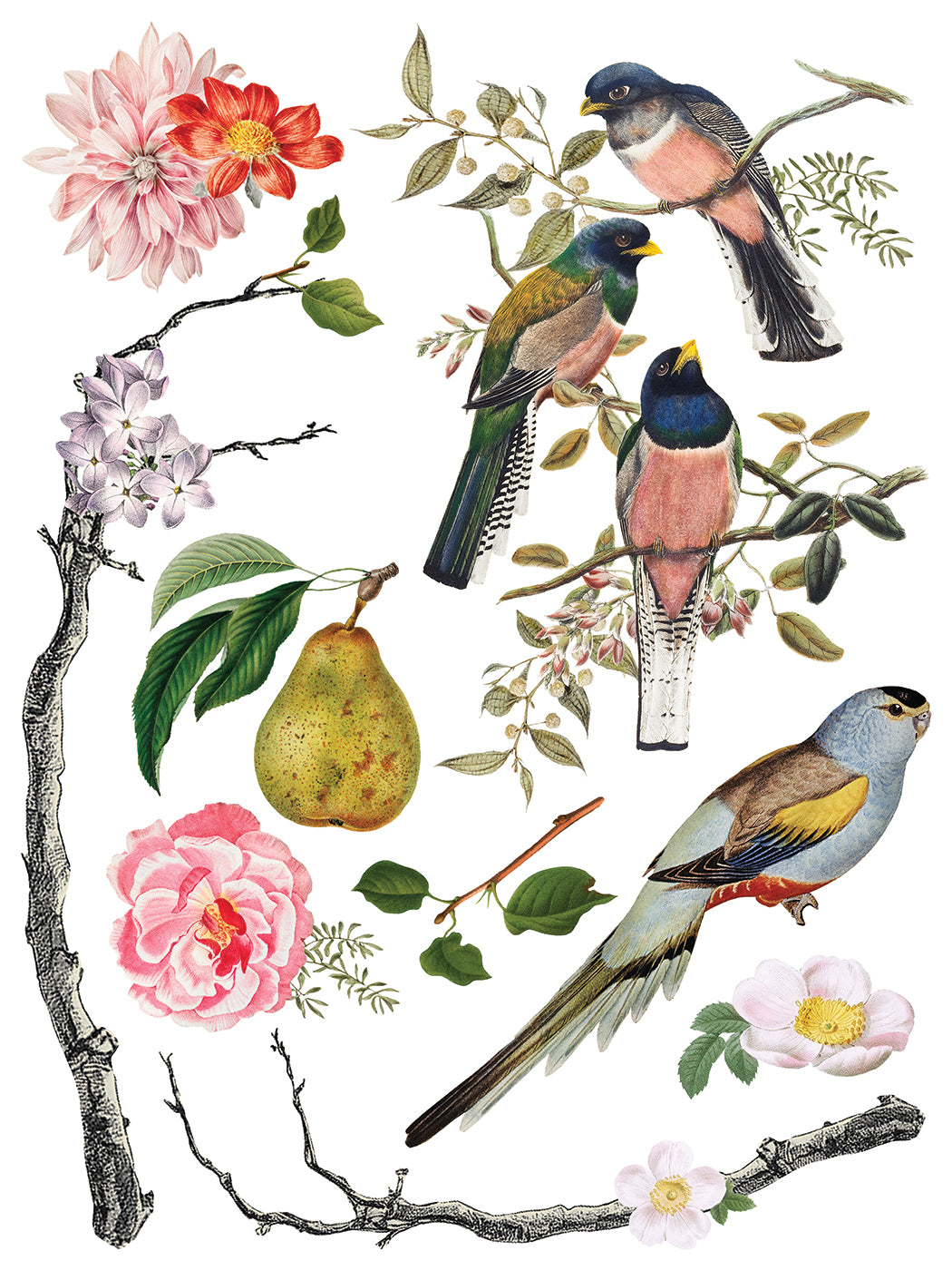 Q2 Menagerie