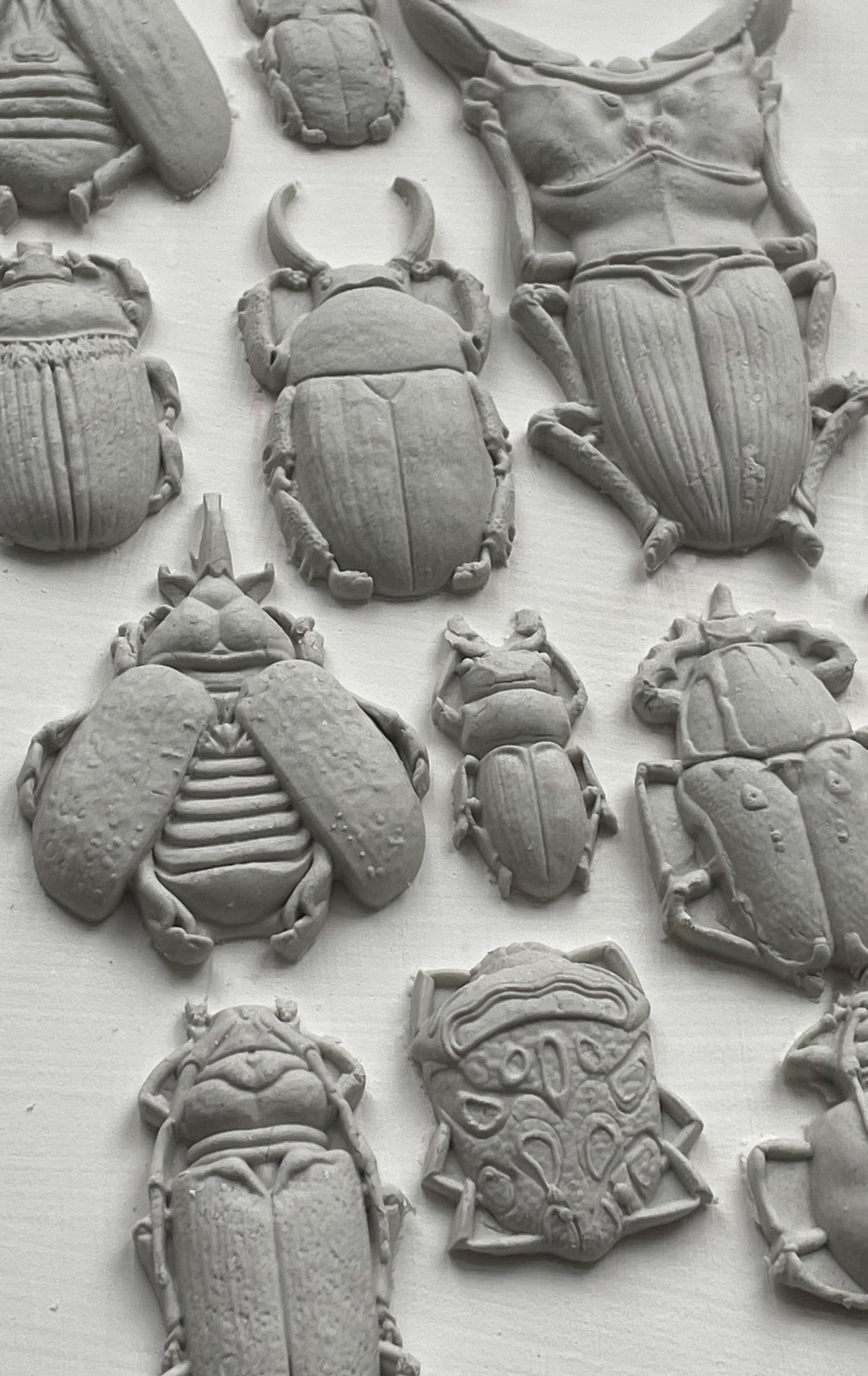 4 Specimens