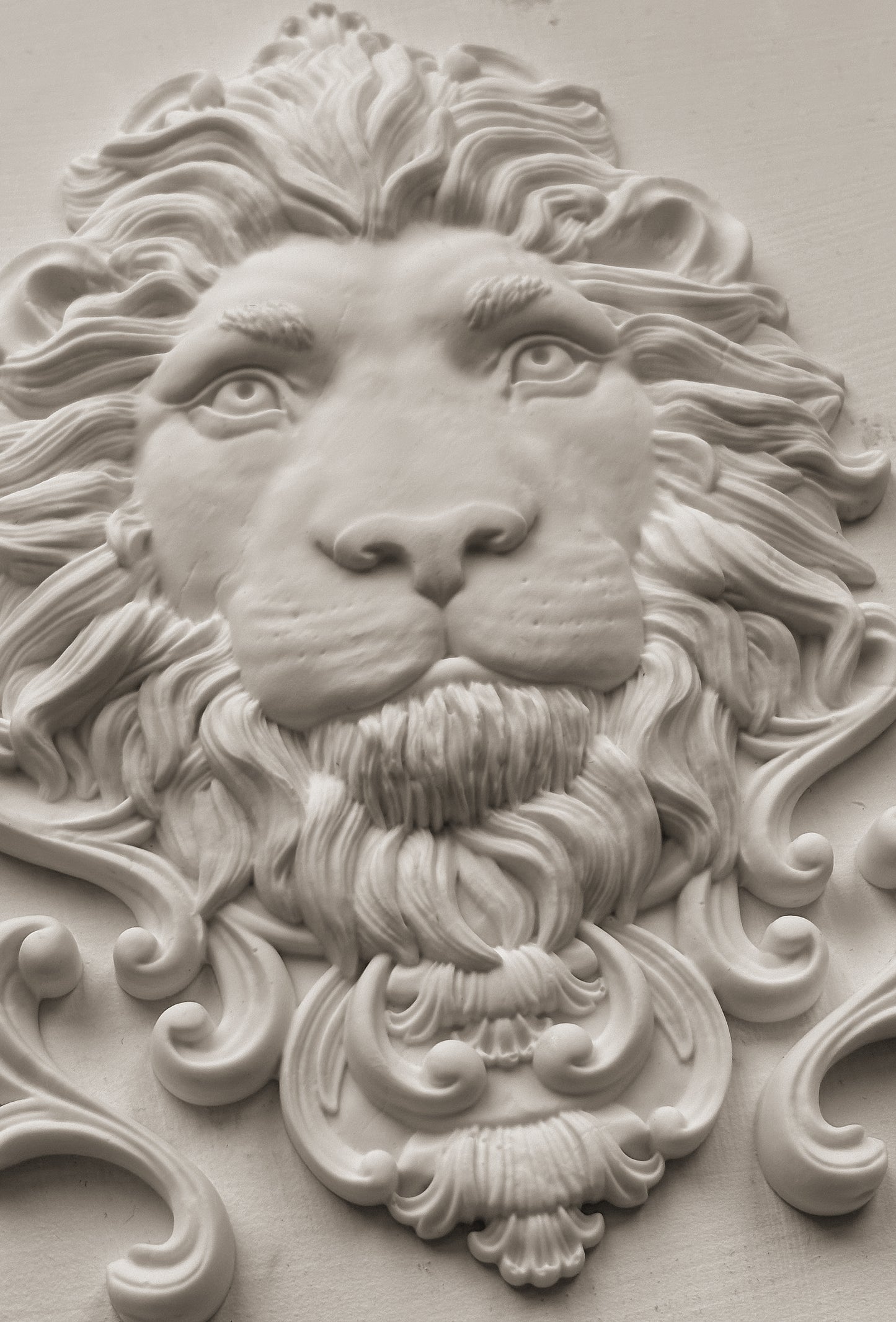 Q2 Leonidas Mould
