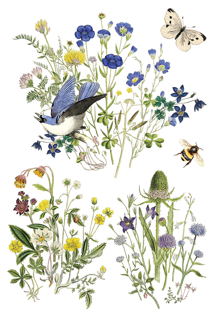 Flora Greca