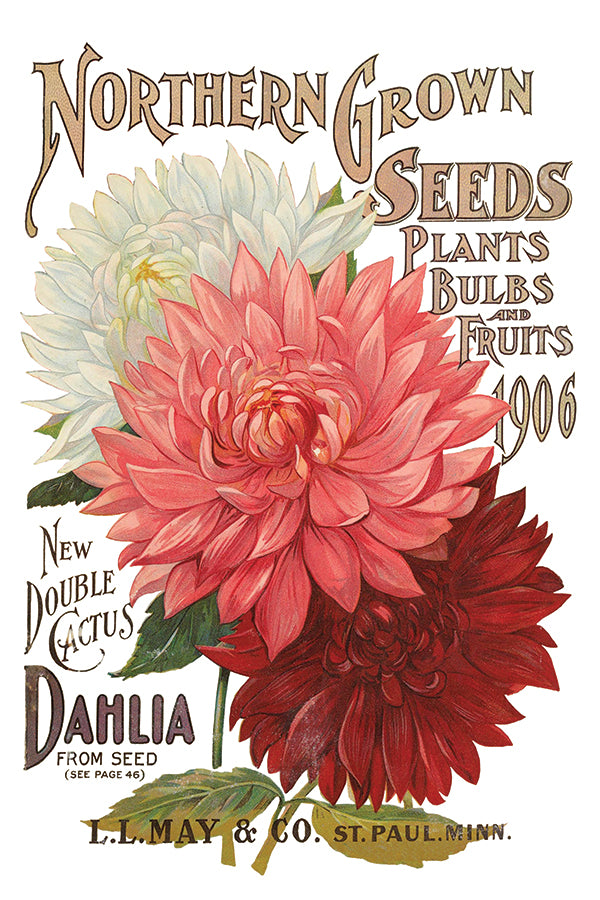 Seed Catalog