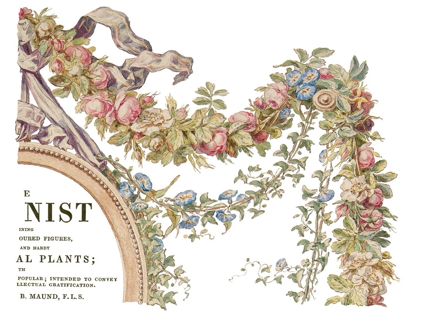 The Botanist