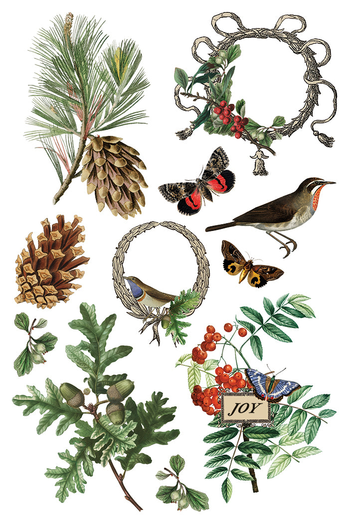 Winter Botanist Transfer