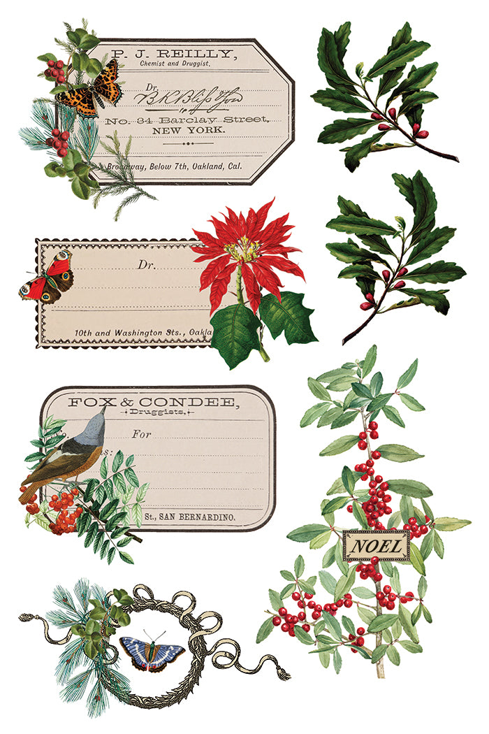 Winter Botanist Transfer