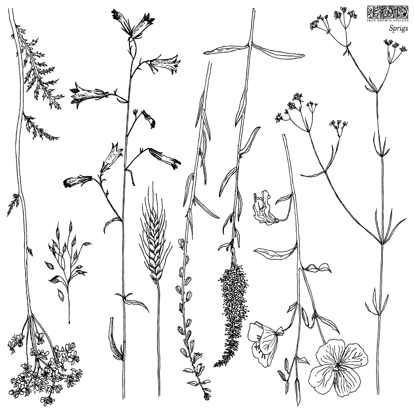 Sprigs
