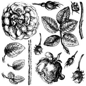IOD Decor Stamps