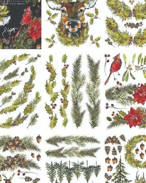 IOD DECOR TRANSFERS
