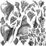 IOD Decor Stamps