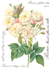 Load image into Gallery viewer, Rose Botanical Transfer Set