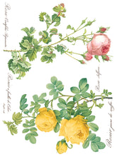 Load image into Gallery viewer, Rose Botanical Transfer Set