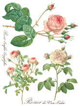 Load image into Gallery viewer, Rose Botanical Transfer Set