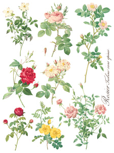 Rose Botanical Transfer Set