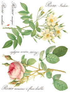 Rose Botanical Transfer Set