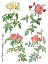 Load image into Gallery viewer, Rose Botanical Transfer Set