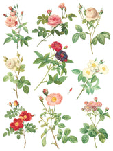 Load image into Gallery viewer, Rose Botanical Transfer Set