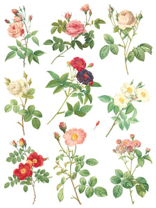 Rose Botanical Transfer Set