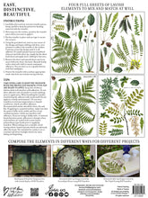 Load image into Gallery viewer, Fronds Botanical