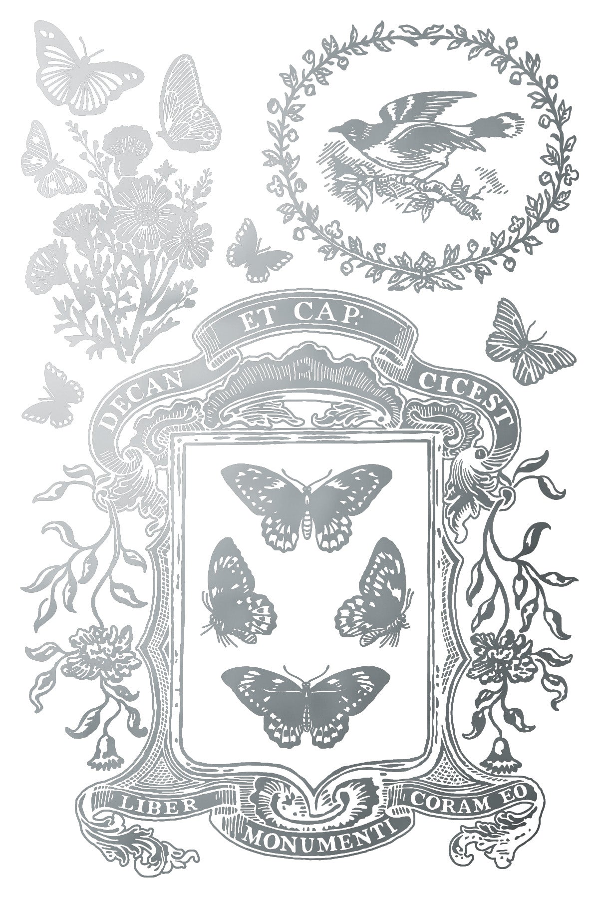 Papillon