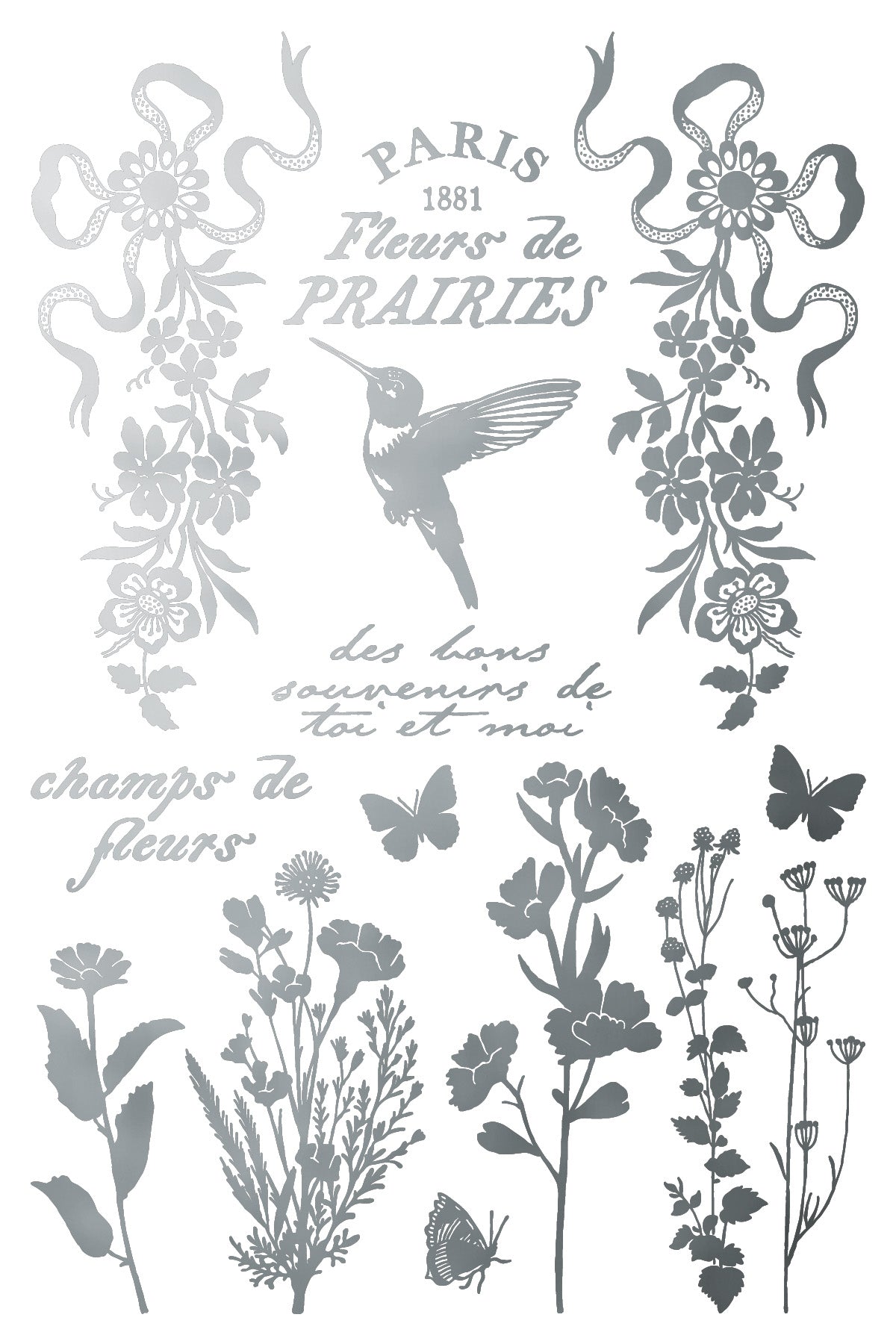 Papillon
