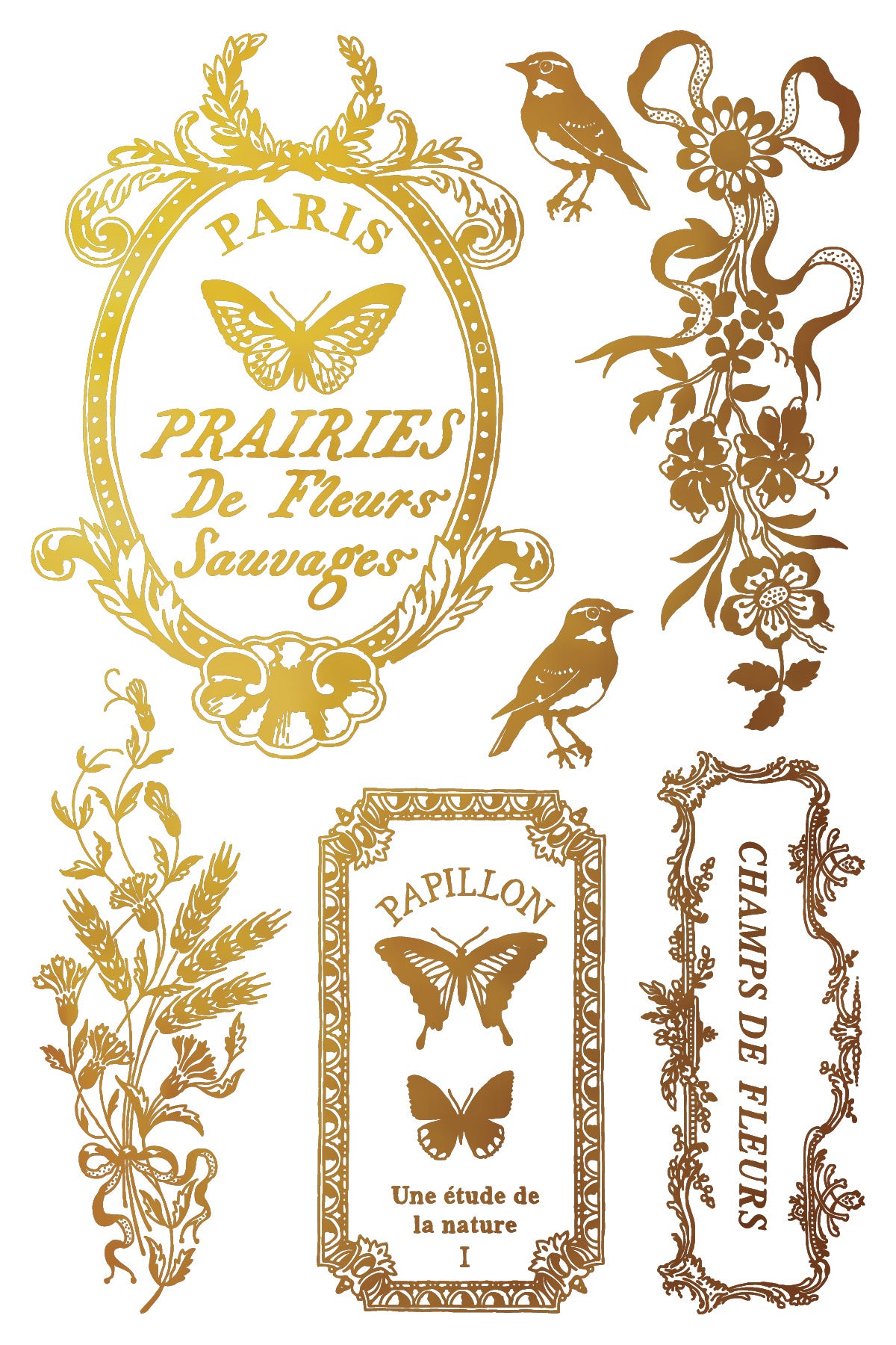 Papillon