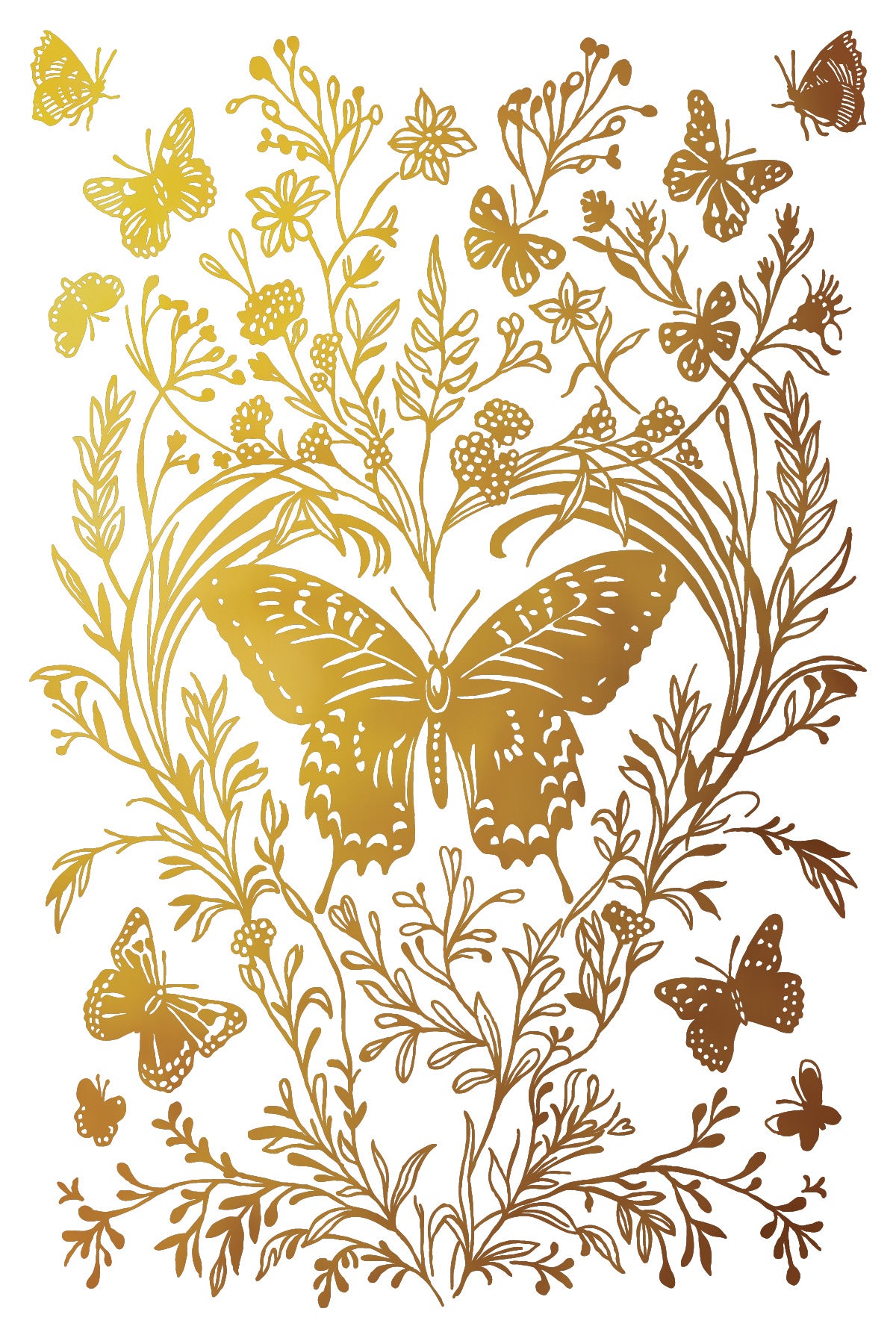 Papillon