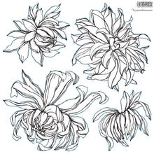 Load image into Gallery viewer, Chrysanthemum