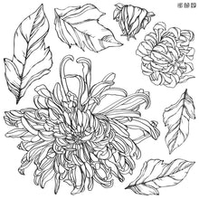 Load image into Gallery viewer, Chrysanthemum