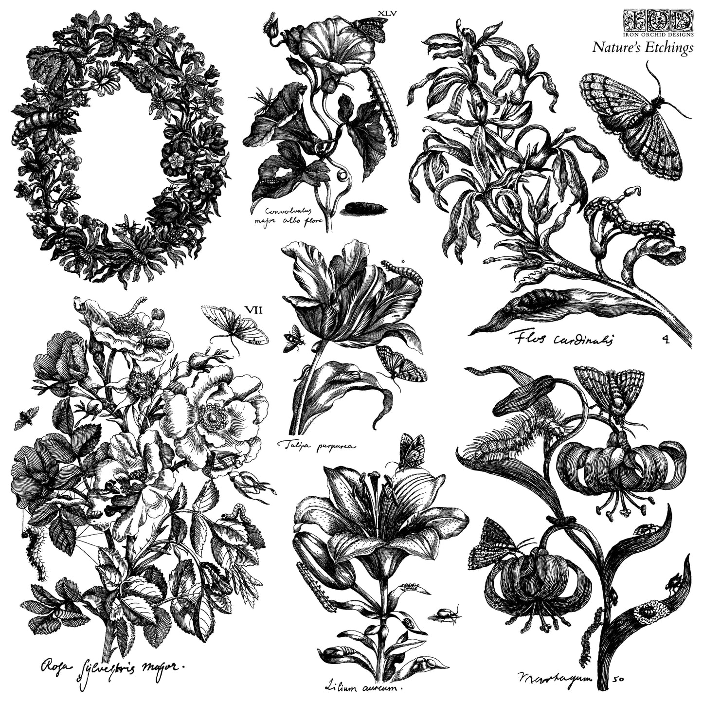 Nature's Etchings 2 sheet  IOD Stamp Set