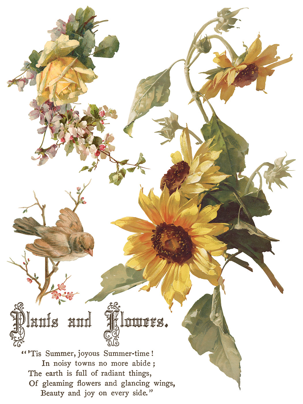 Flowers by the Poets IOD Transfer 8 Pages  12” x 16”