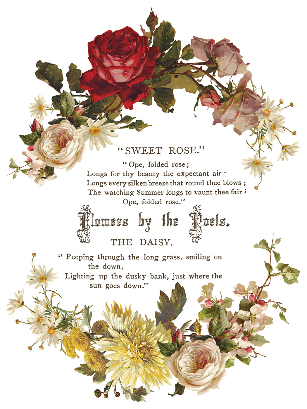 Flowers by the Poets IOD Transfer 8 Pages  12” x 16”