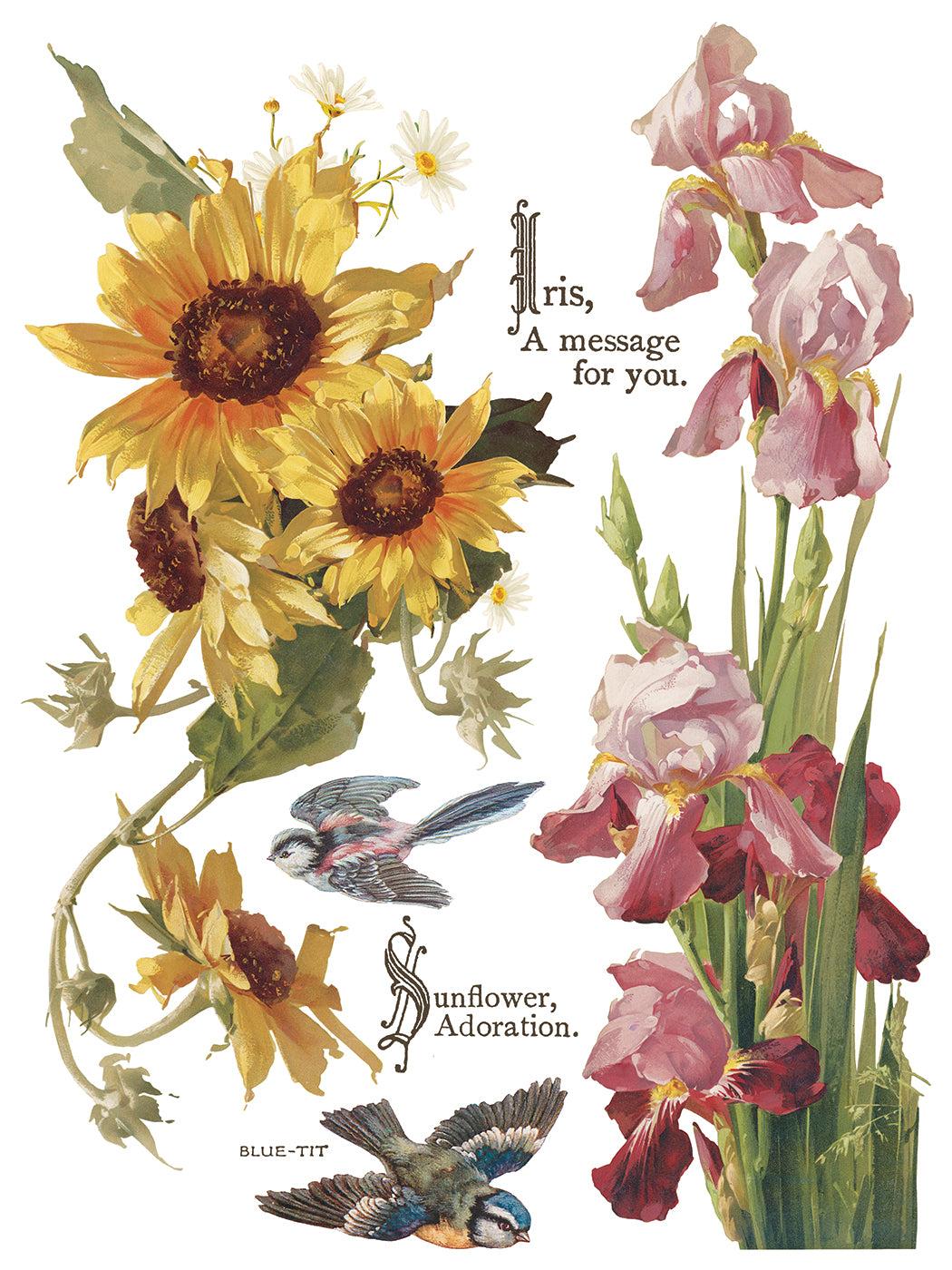 Flowers by the Poets IOD Transfer 8 Pages  12” x 16”