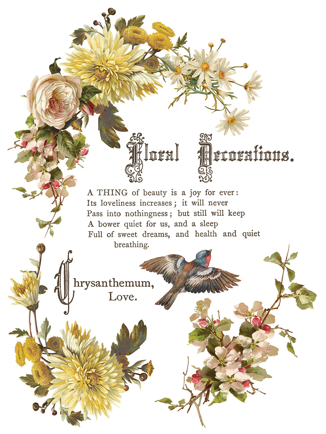 Flowers by the Poets IOD Transfer 8 Pages  12” x 16”