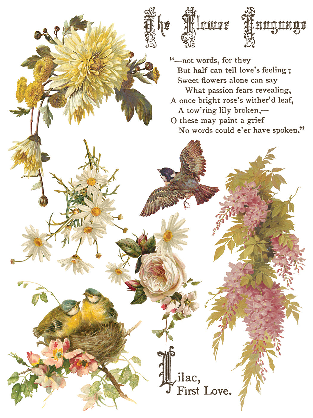 Flowers by the Poets IOD Transfer 8 Pages  12” x 16”
