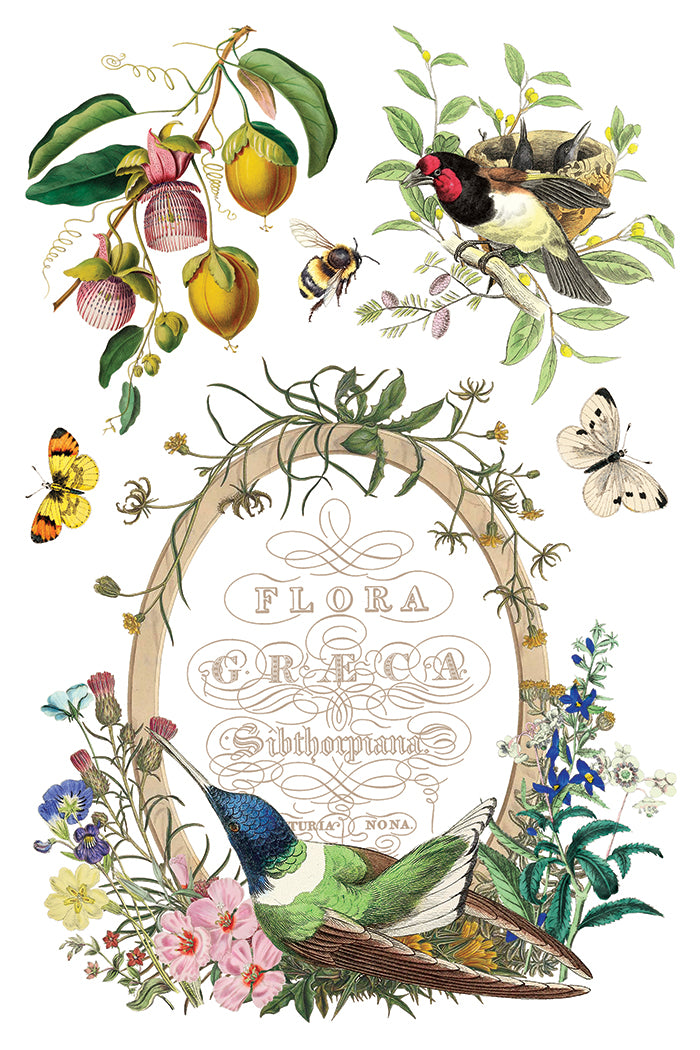 Flora Greca