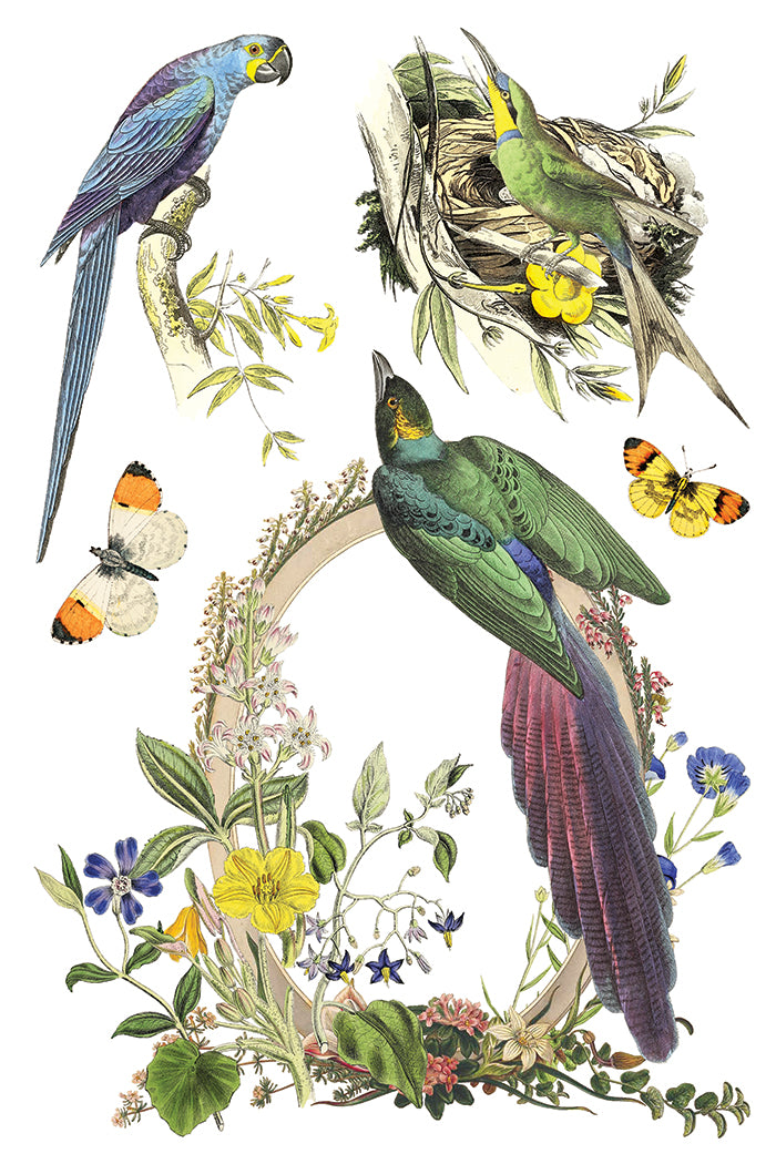 Flora Greca