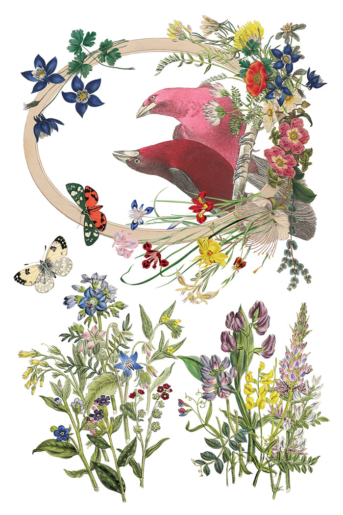 Flora Greca