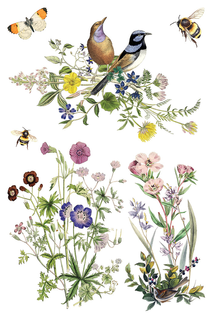 Flora Greca