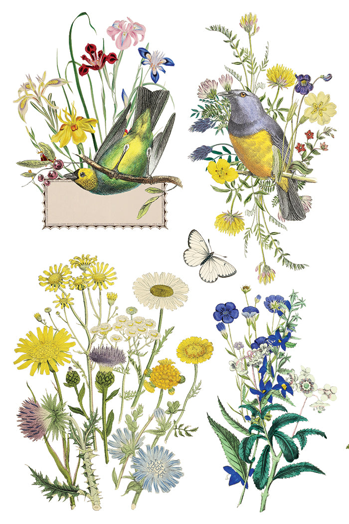 Flora Greca