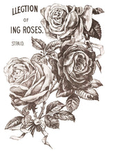 Load image into Gallery viewer, May&#39;s Roses