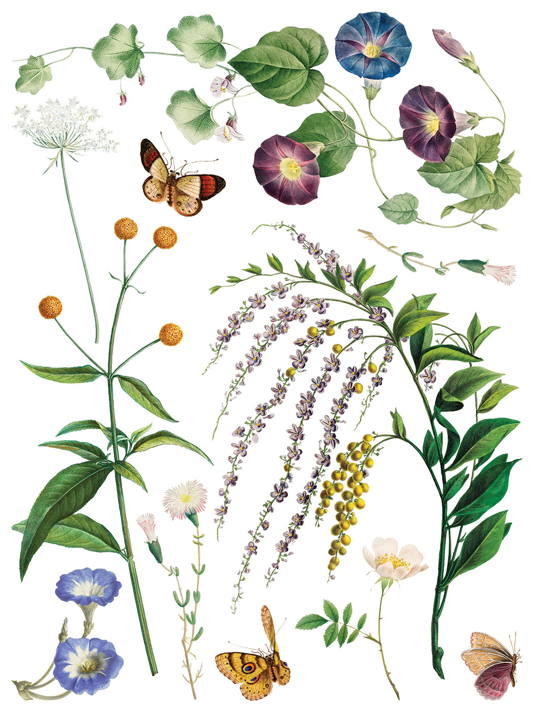 Marché des Fleurs IOD Transfer 8, 12” x 16” pages