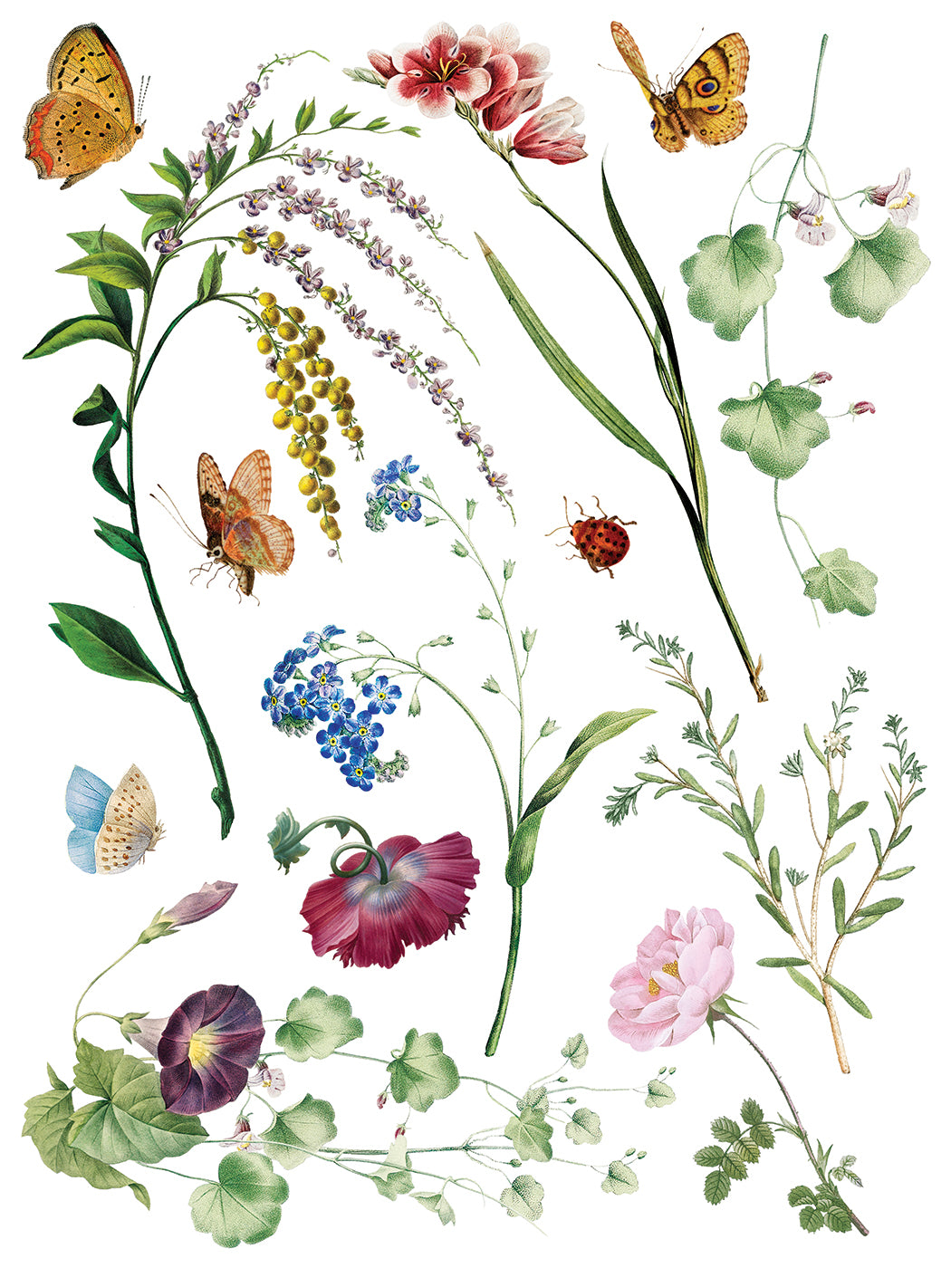 Marché des Fleurs IOD Transfer 8, 12” x 16” pages