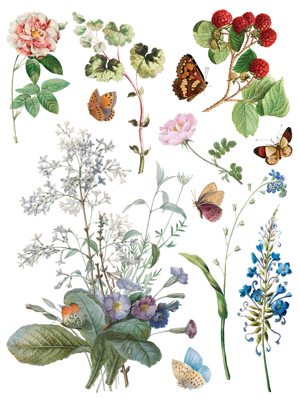 Marché des Fleurs IOD Transfer 8, 12” x 16” pages