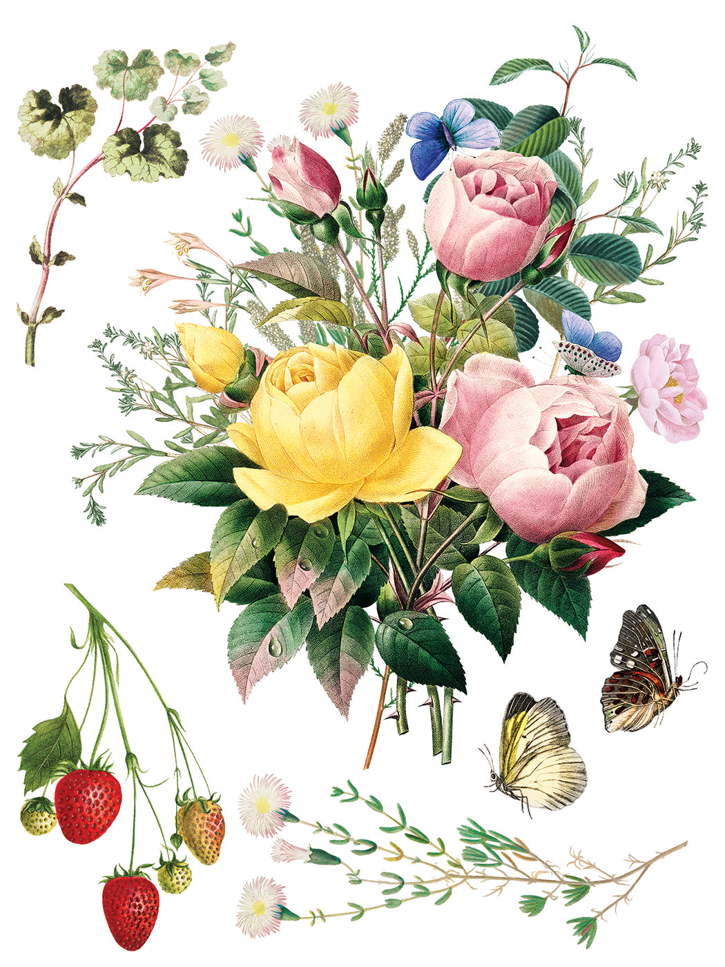 Marché des Fleurs IOD Transfer 8, 12” x 16” pages
