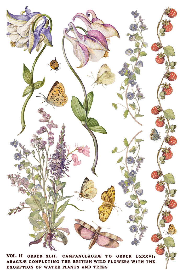 Primrose Isle IOD Transfer | 8, 8” x 12” pages