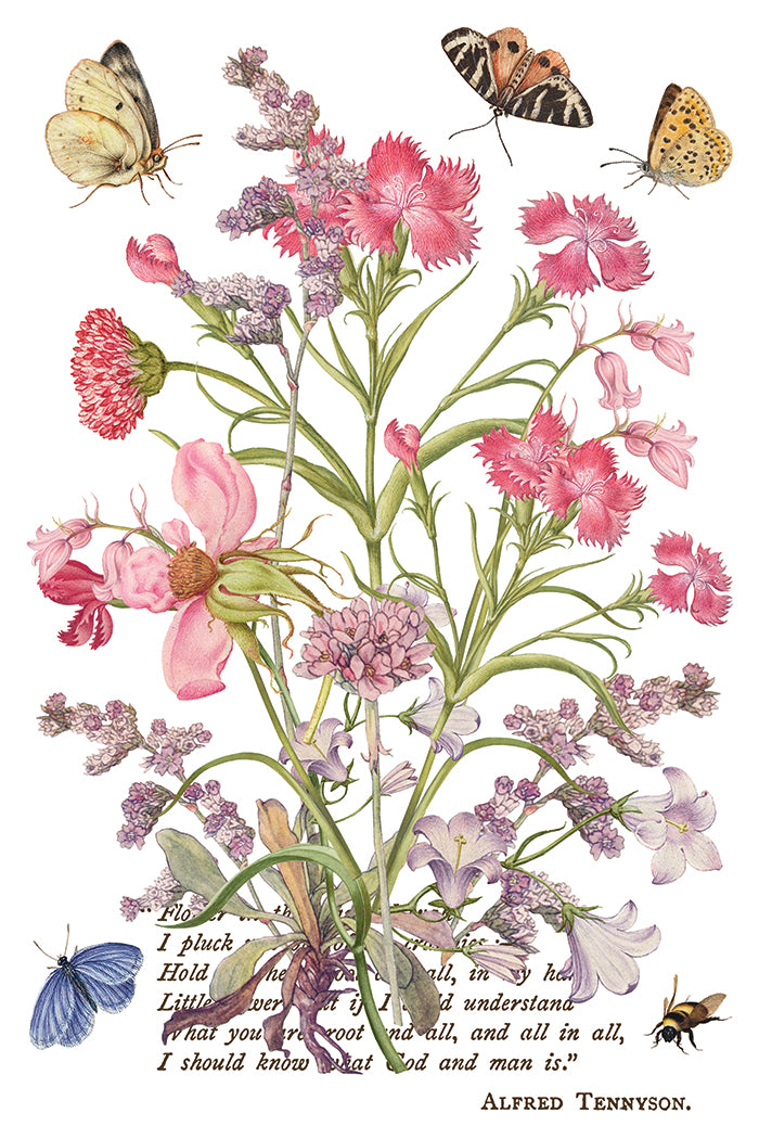 Primrose Isle IOD Transfer | 8, 8” x 12” pages