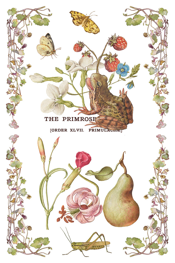Primrose Isle IOD Transfer | 8, 8” x 12” pages