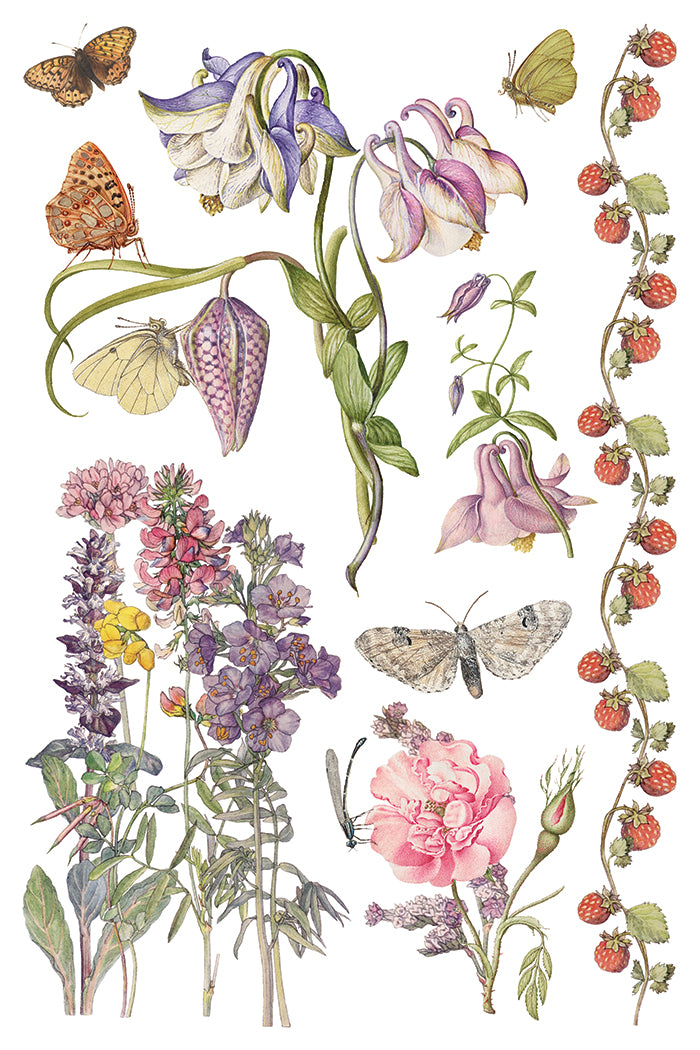 Primrose Isle IOD Transfer | 8, 8” x 12” pages