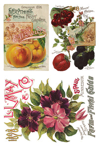 Seed Catalog