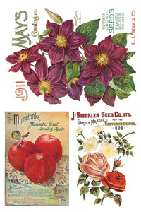 Seed Catalog